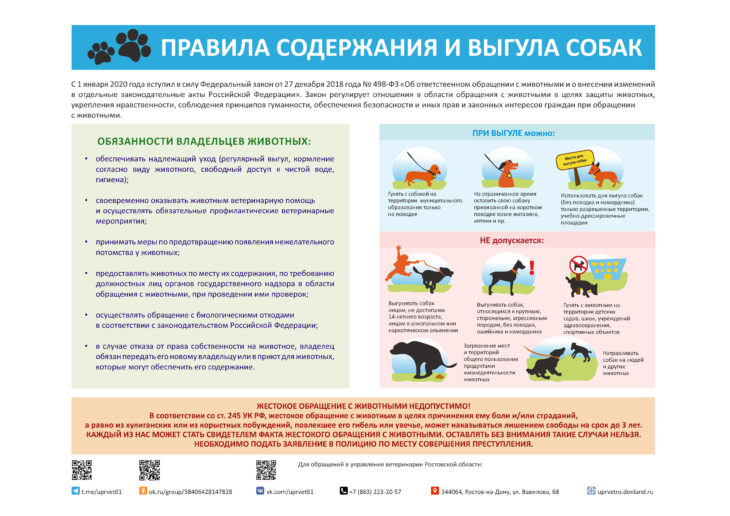 Напоминаем о правильном обращении с домашними животными | ГБУ РО  «Ростовская облСББЖ с ПО»